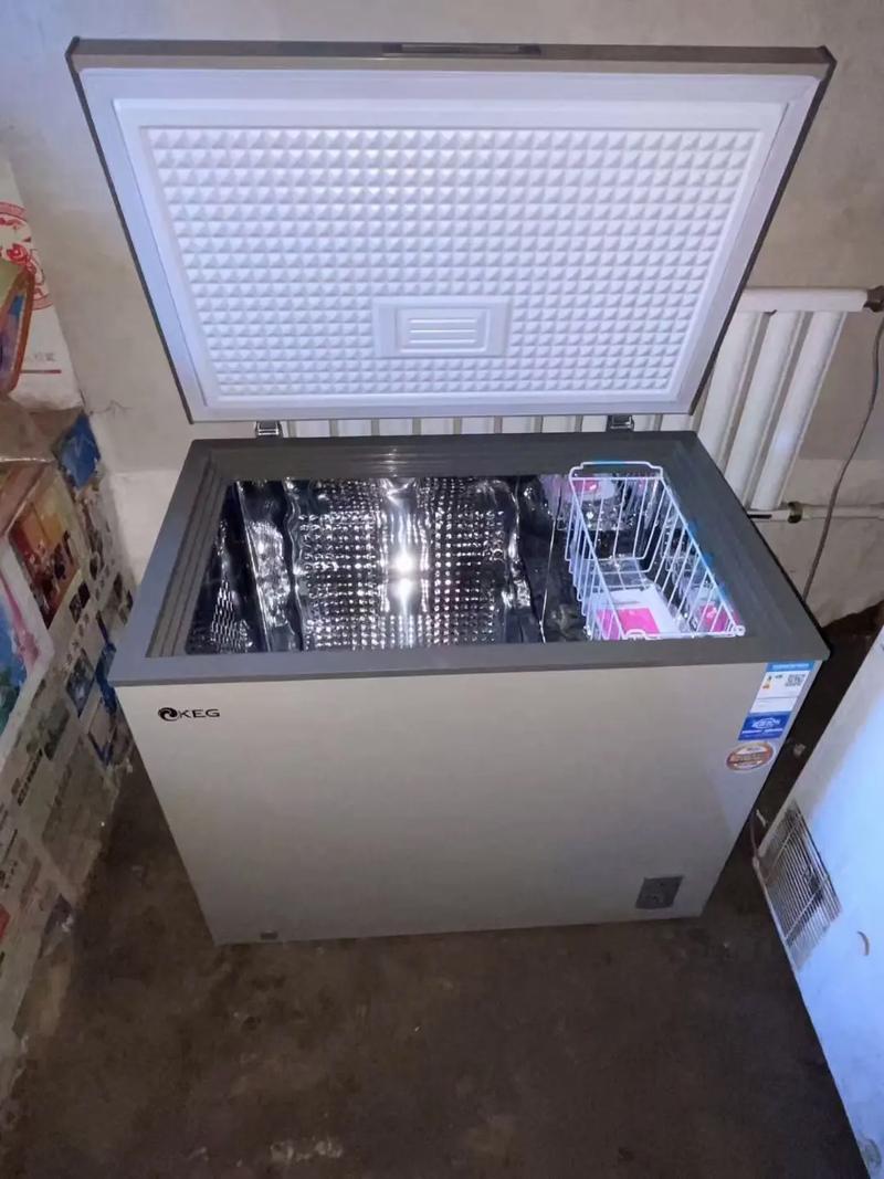 韩电一级耗能,食品级不锈钢内胆冷柜,现在工厂价#家用电器 # - 抖音